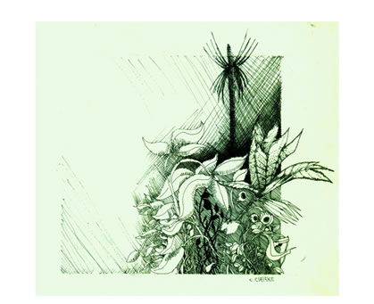 College assignment by Cornnell Clarke