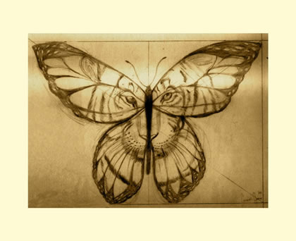 &copy; 2007 Cornnell Clarke Tiger Butterfly...