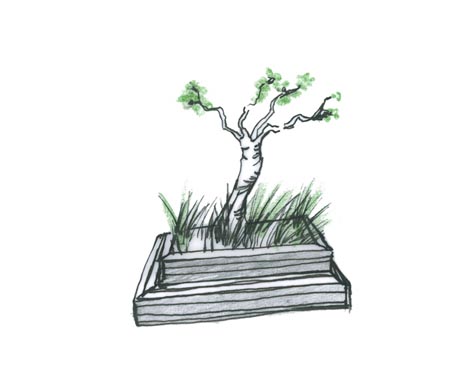 portfolio - 30